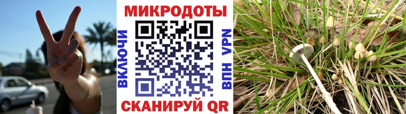 Галлюциногенные грибы Cubensis  Выкса 