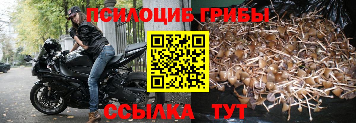 Псилоцибиновые грибы Cubensis Выкса