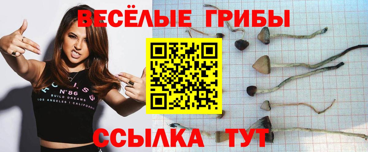 Галлюциногенные грибы мицелий Выкса