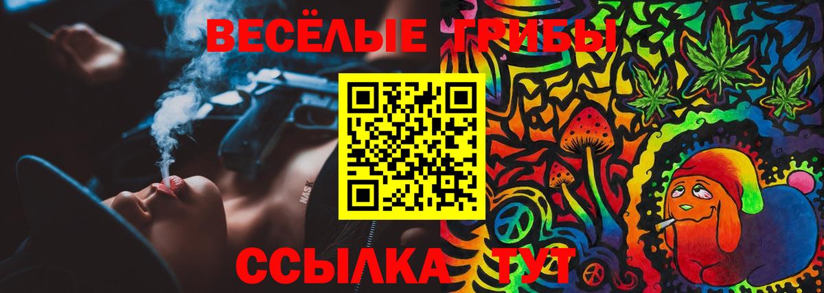 Псилоцибиновые грибы GOLDEN TEACHER  Вход с VPN  где продают   Псилоцибиновые грибы мухоморы  Выкса 